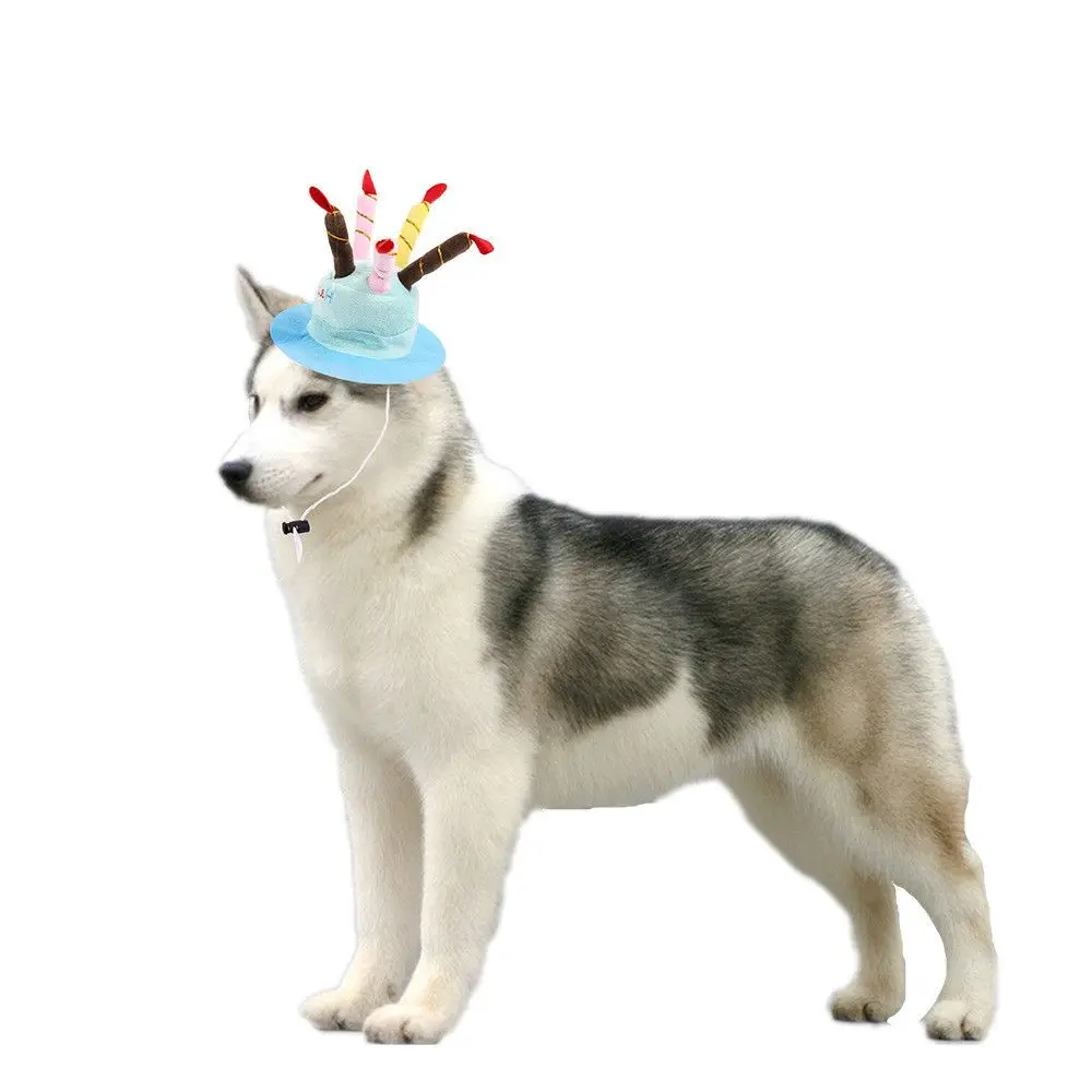 Title 5, Dog Hat Pet Dog Cat Hat with Birthday Cake Cap ...