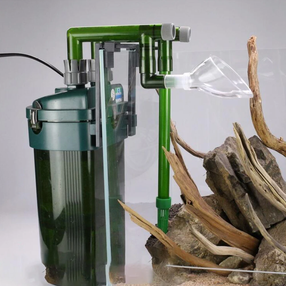 AquariumFishTankWaterPlantLilyPipeConnectedToInletOutlet