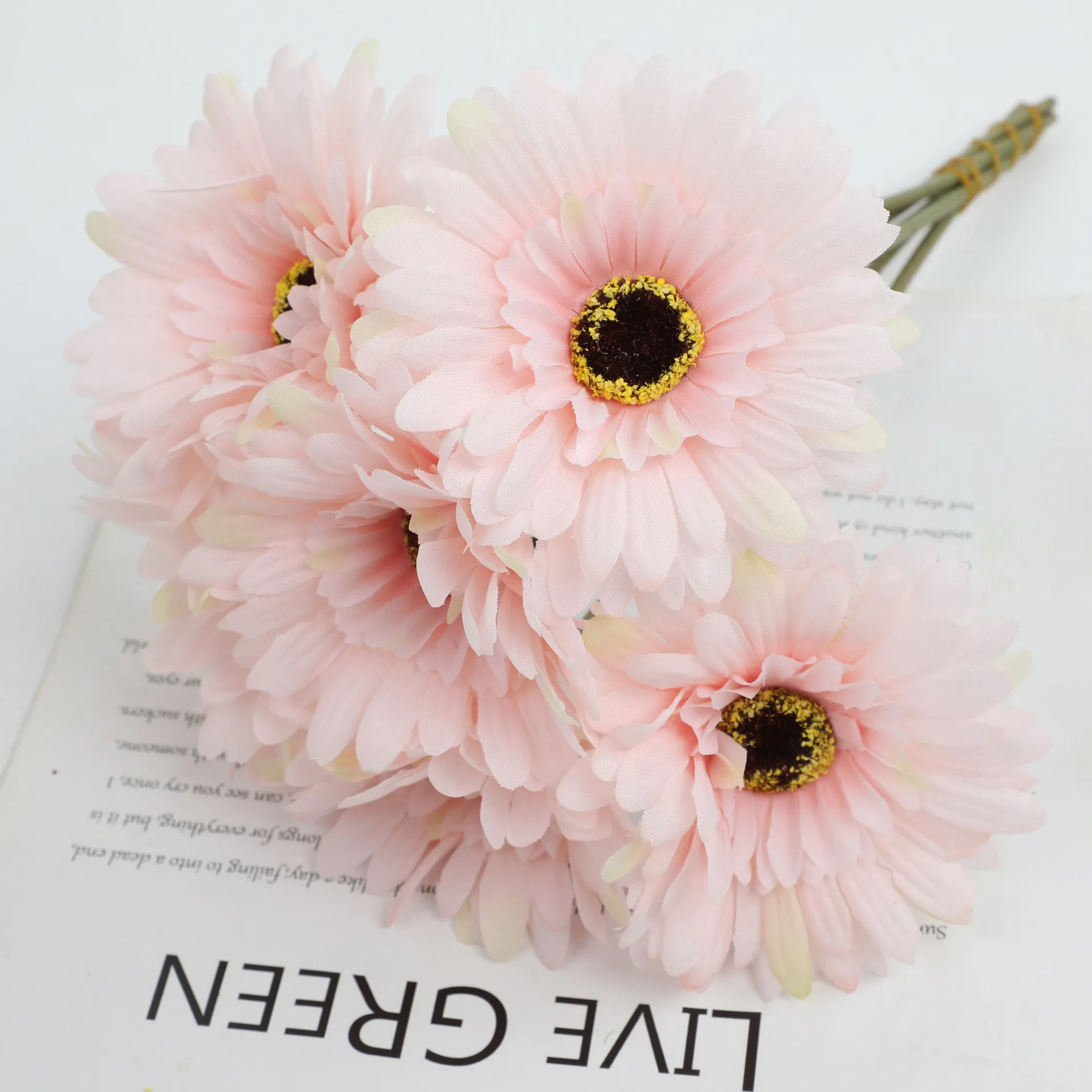 Sb6e7ebe60dd94e44a08cd0fcf5277589g.jpg