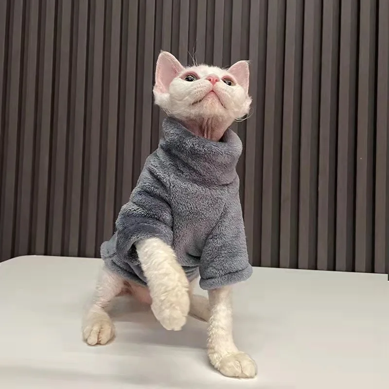 Hairless Cat clothes