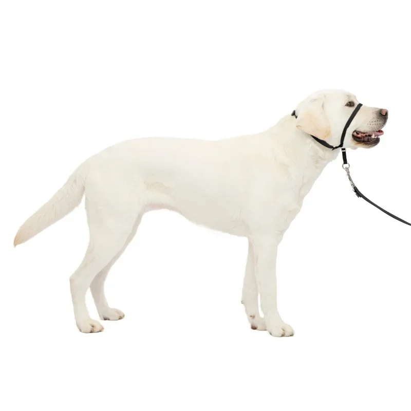 

PetSafe, нежный поводок, ошейник для собак без вытягивания, большой 60-130 фунтов, Черный