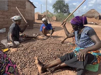 Shea butter raw organic-certified Bio - 100% pure and natural 4