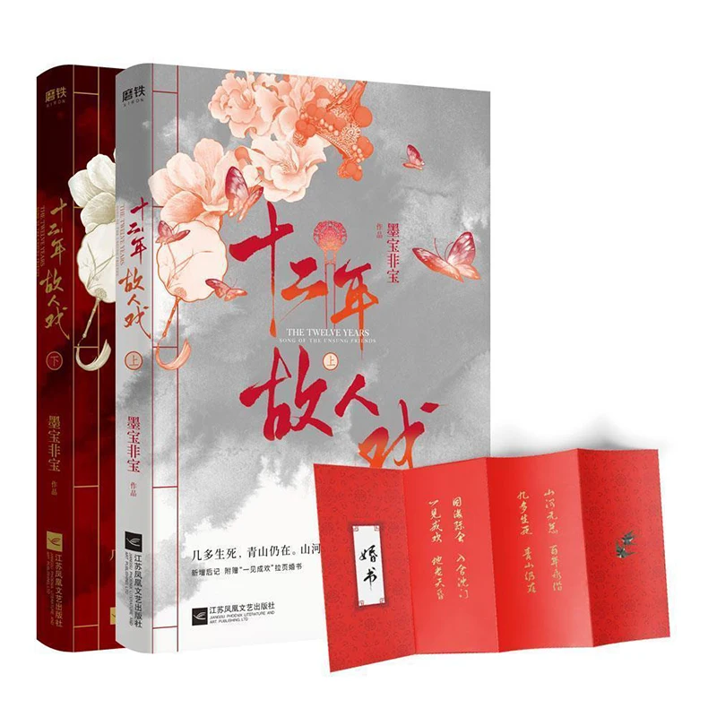 

12 Year Old Drama Book Calligraphy Feibao's Youth Novel A Lifetime Of Beauty Bones Jiangnan Libros Novel Mangas Anime Manhwa New
