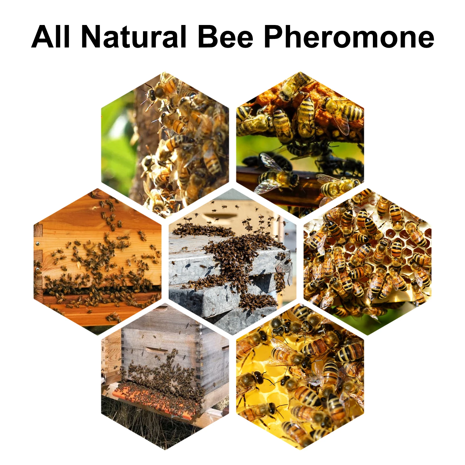 Beekeeping Tools Beekeeping Accessories Bee Attractant Lure Bee Attractant Swarm Commander Premium Hive Beekeeping Catching Bee Lure Bait Honey Collection Cage Pollen Trap Attract Bait