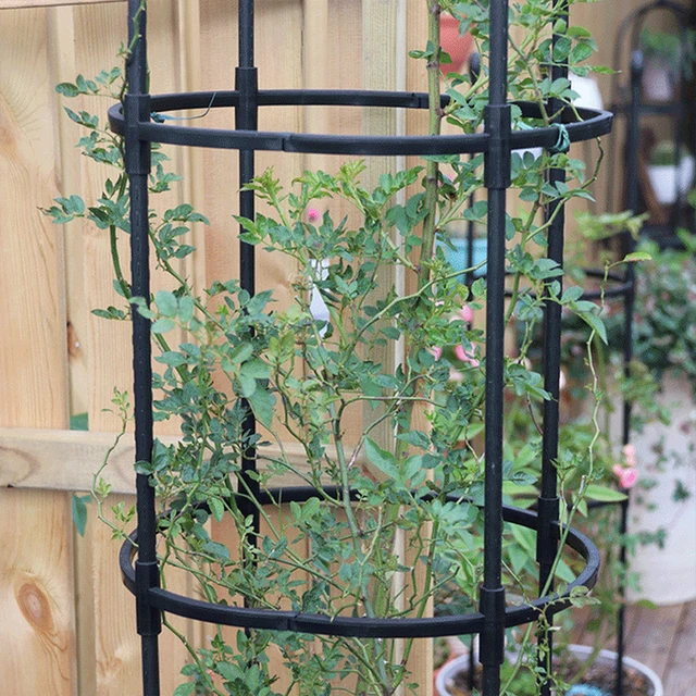 Kerti Növény Obeliszk Rácsos Növényi Támogatás A Mászó Szőlő Virágokhoz - Image 4