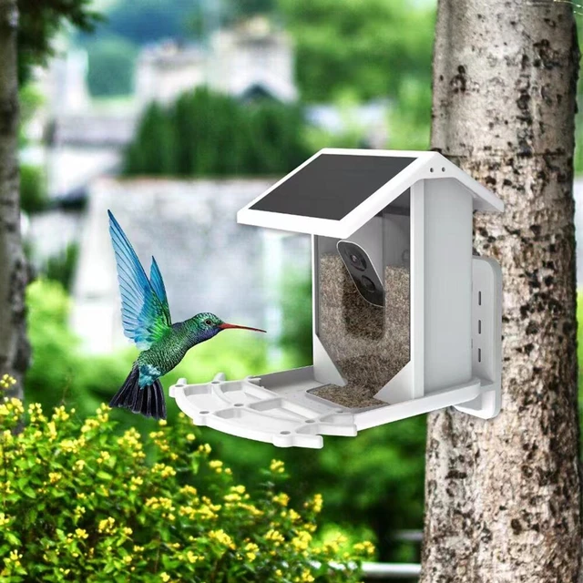 Mangeoire à oiseaux solaire sans fil avec caméra, caméra extérieure,  capture automatique, maison de mangeoires à oiseaux 1080P avec caméras,  AI-Smart identifie les espèces d'oiseaux, lorsque les oiseaux sont détectés  - AliExpress