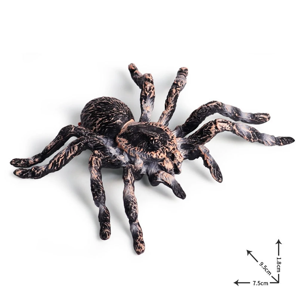  Ź   峭,  ǰ, 9.5cm, 2 