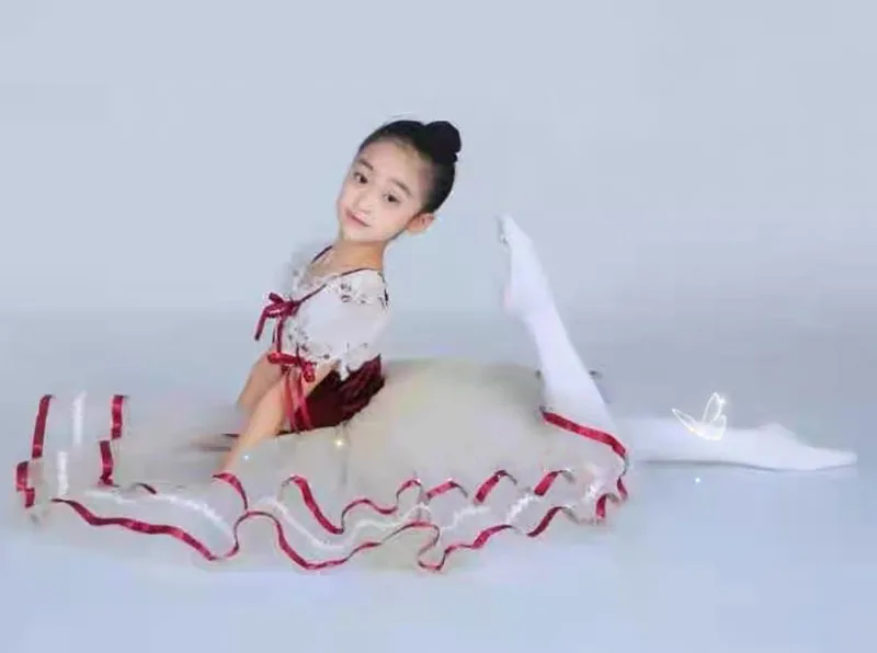 2022 Professional Romantic Tutu Long Tulle Tutus Ballet Dress Women Girls Ballerina Party Dress Children Ballet Dance Costumes