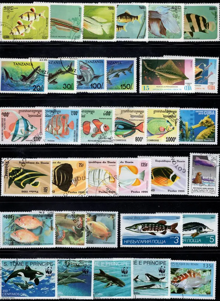 海外切手コレクション　Sea Life 海洋生物 特殊切手「海のいきものシリーズ」第5集のテーマはジンベエザメ