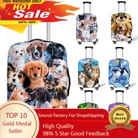 Cute Dog Panda Dinosaur Animal Print Luggage Cover Elastic 18-32 Inch Suitcase Cover 1