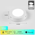 No Remote-10W Small