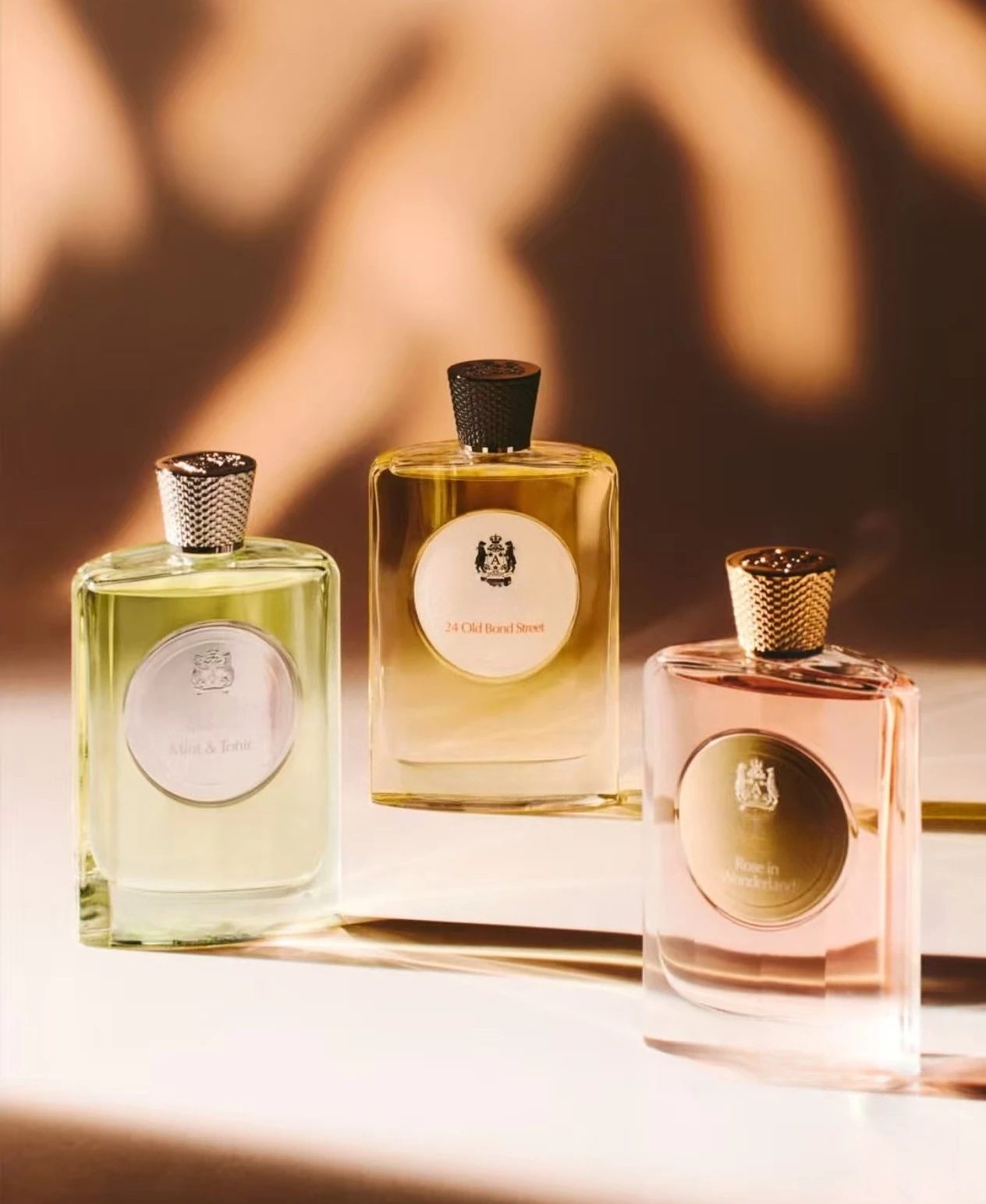 WishHour Final Brand Aesthetic and Sourcing