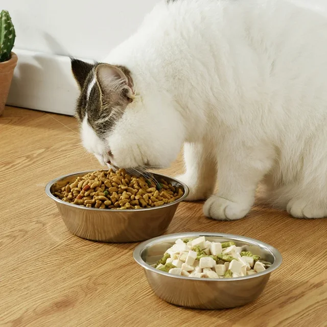 Large Capacity Dog Bowl Stainless Steel Safe Durable Pet Feeding Bowl Cat Dog Food Drinking Feeder Bowl Pet Supplies 6