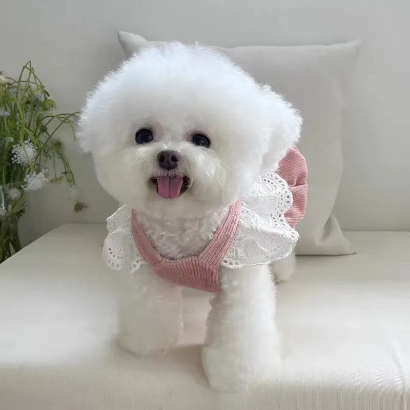 Pet Clothing Autumn/Winter New Corduroy Pumpkin Skirt Pulling Buckle Teddy Bear Dog Cat Warm Lace Skirt