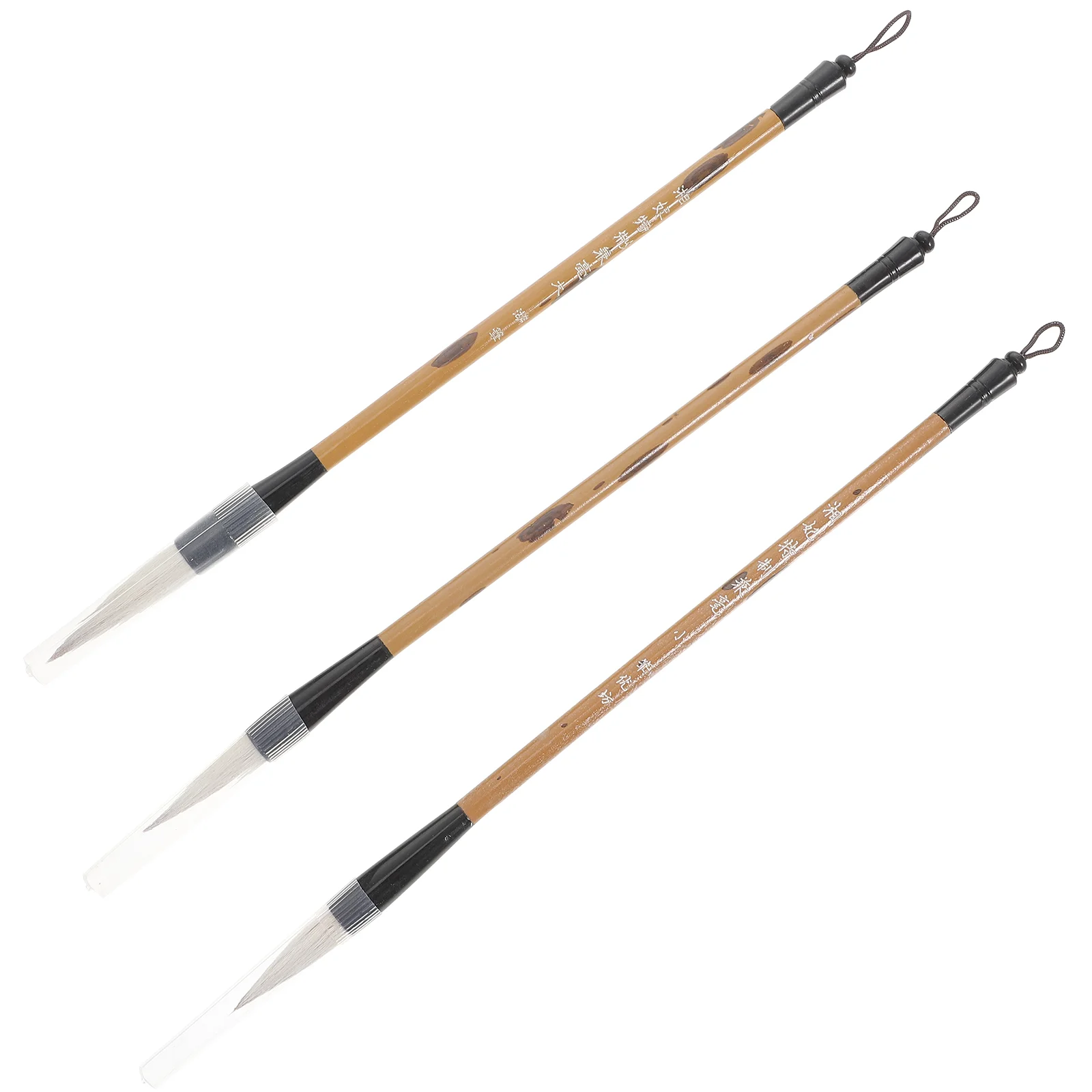 

3 Pcs Writing Brush Kit Pen for Calligraphy Practice Portable Painting Accessories