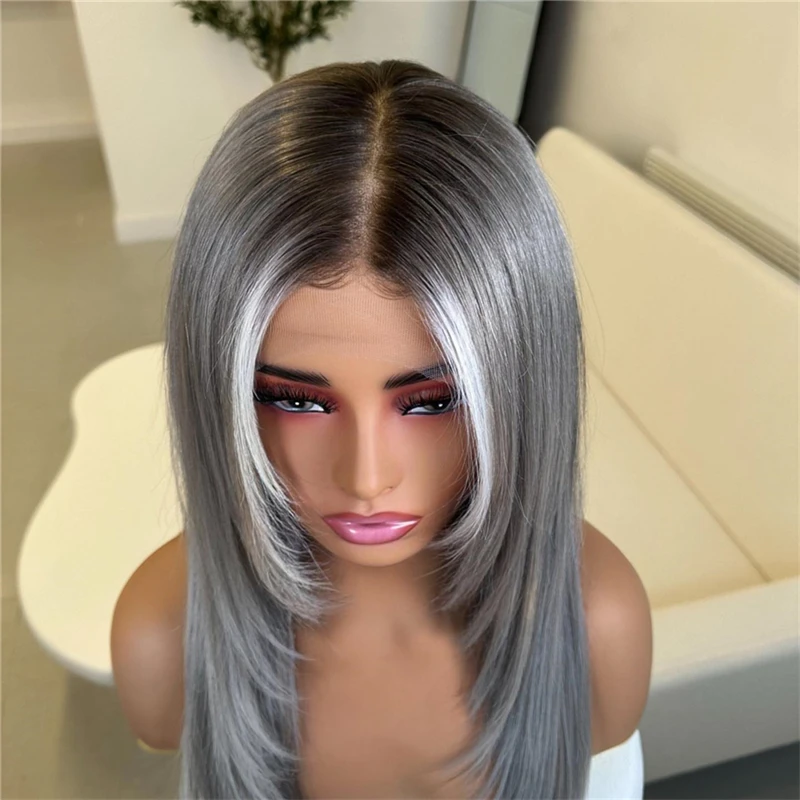 Natural Women Wigs Dark Gray Color with Small Thin Highlights Lace Front Wigs 13x4 Glueless Silky Straight Synthetic