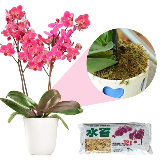 Sphagnum Mohás Legakrasztozó Tenyésztési Szubsztrát Talaj Az Orchidea Mohák Cserepes Keveréke Beltéri Nedvesség Újrapottáló Közepes - Image 3