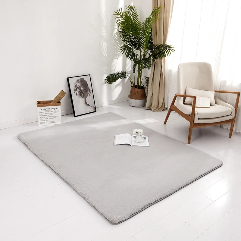 

2022 New Medium and High-end Pure Color Plush Floor Mat Suitable for Living Room and Bedroom Small Medium and Large