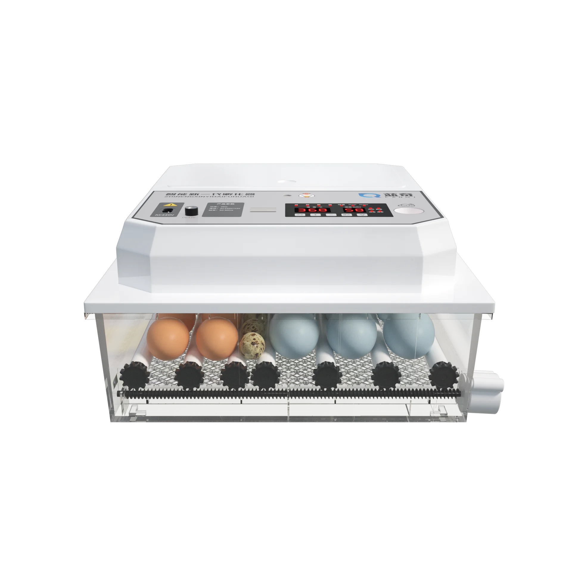 מכשירי חיתוך ביצי עוף מיניים עם קצב גבוה, מכשירי חיתוך ביצי תעשייתיים אוטומטיים מלאים לביצי חיתוך