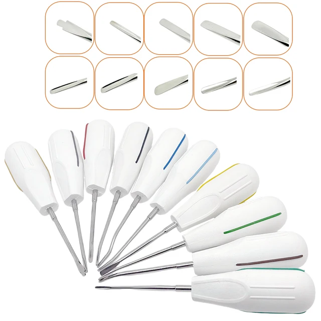 10 ชิ้น/เซ็ตทันตกรรม Root Fragment Luxating ลิฟท์ฟันสกัดทันตกรรมพร้อมที่จับพลาสติกพร้อมที่จับพลาสติก 1