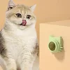 Lickable Catnip Ball – Interactive Treat & Teeth-Cleaning Fun 3