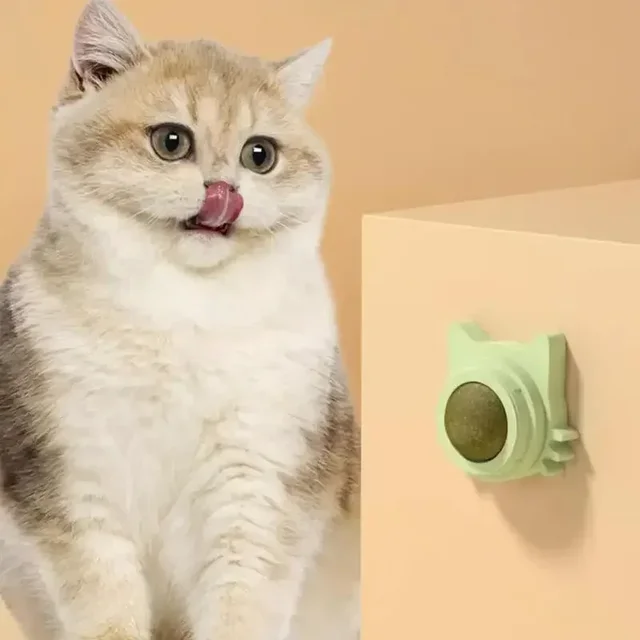 Lickable Catnip Balls for Cats 3