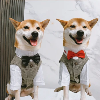 Puppy Tuxedo Wedding Suit 1
