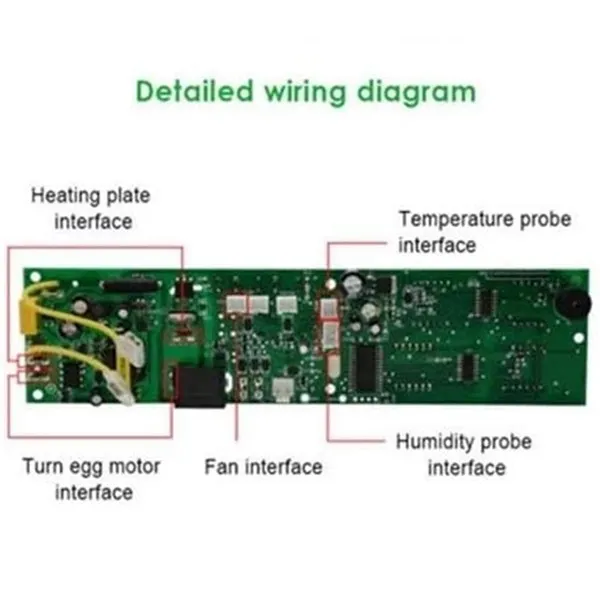 Il Controller dell'incubatrice per pollame Mini uovo fai-da-te ha impostato i pezzi di ricambio per la schiusa