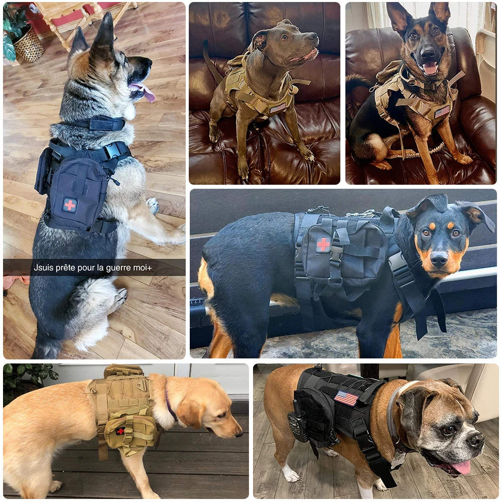 Multiple dogs of different breeds wearing The Stuff Box Tactical Dog Harness & Leash Set made of durable 1000D nylon, featuring various patches and MOLLE systems, are shown in various indoor settings.