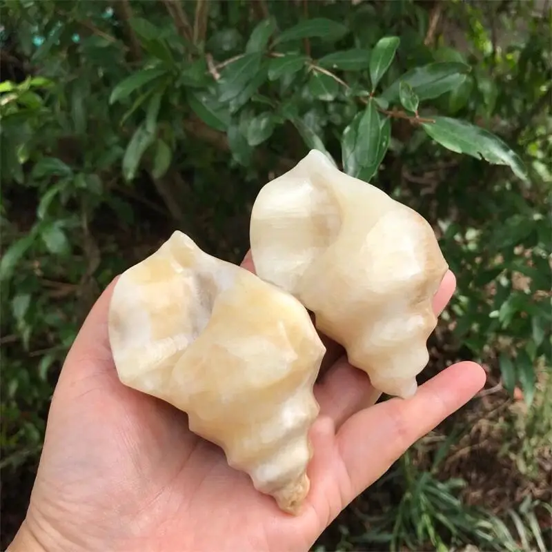 

Природный кальцит ракушка ремесла Исцеление энергия кристалл резьба орнамент здоровый кварц подарки Домашнее украшение