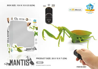 Mantis