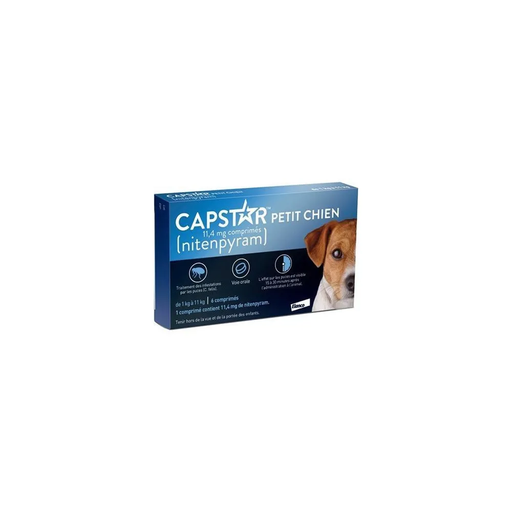 Can Capstar Be Used On Pegnate Dogs