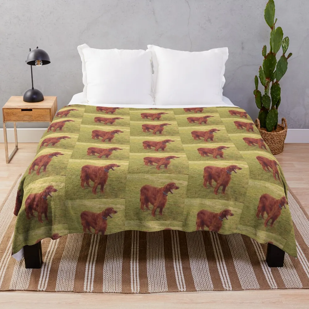 

Irish setter Throw Blanket Luxury Blanket Nap Blanket