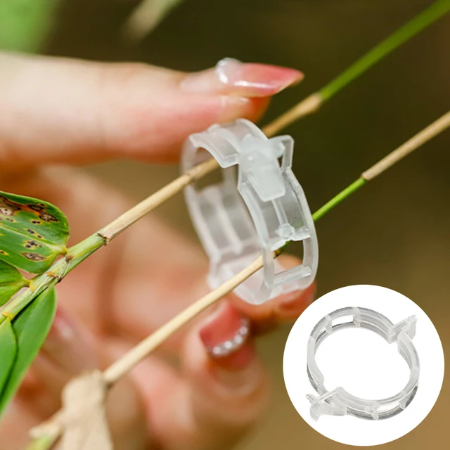 50Db Virág Ágak Oltó Klip Szőlő Rögzítőelemek Bilincs Palánták Műanyag Növények Támogató Klipek Kerti Kellékek - Image 5
