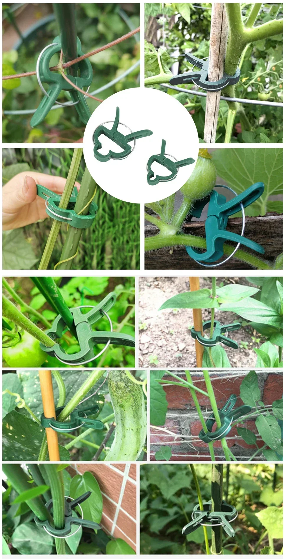 Plant Fixed Clips Reusable Garden Greenhouse Bracket for Plants