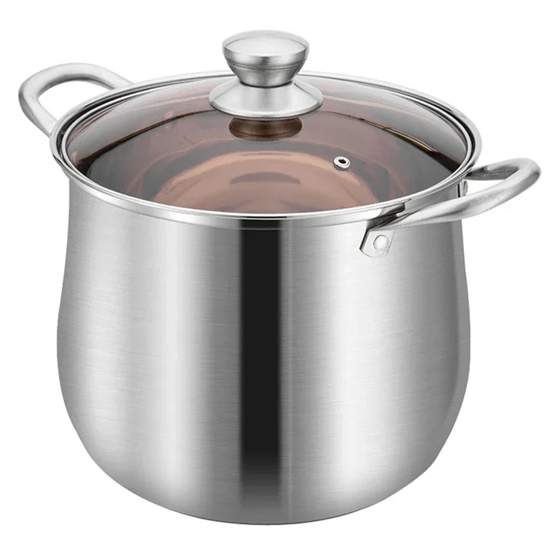 Stainless Steel Induction Pot 1