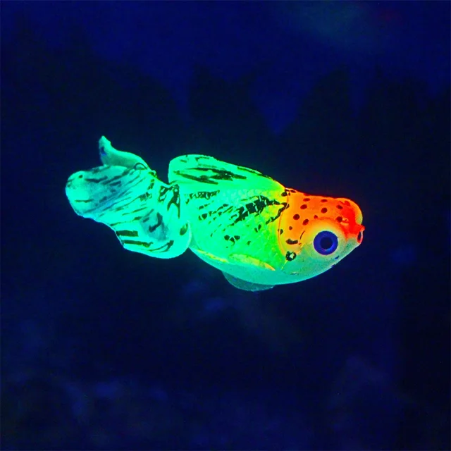 Glow In The Dark Artificial Aquarium Fishes Realistic Moving Floating Colorful Goldfish Fake Fish Ornament for Aquarium Tank 6