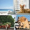 Extra Large Cat Balcony Fence , High-strength Polyester Pet Protection Net, Easy To Install, Suitable For Balconies, Windows 4