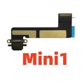 For Mini 1