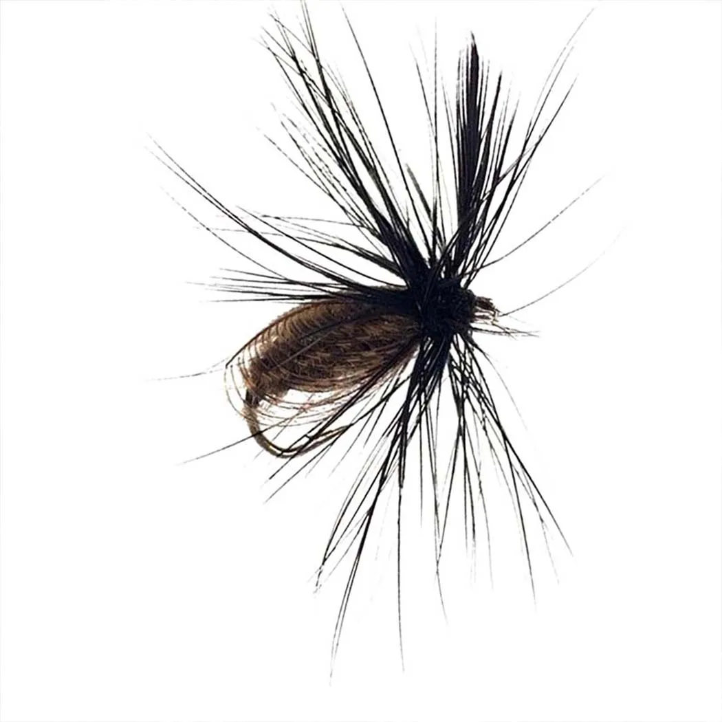 5/10pcs schwarz trocken/nass Käfer fliege Pfauenfeder flügel Fliegen fischen Fliegen für Karpfen/Forellen köder – Detail 7