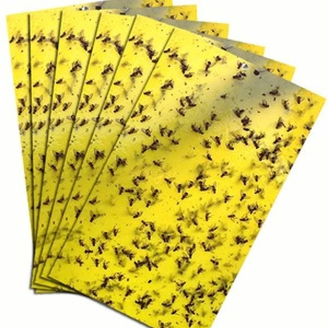 Erős Legyek Csapdák Hibák Ragadós Tábla, Amely Levéltetvek Rovarok Kártevő Gyilkos Kültéri Légycsapda Szúnyoggomba Légygyilkoshoz - Image 3