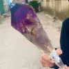Natural Amethyst Scepter Healing Specimen 4