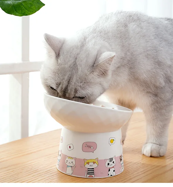 Cat Ceramic Bowl Pet Food Utensils High Footed Bowl 3