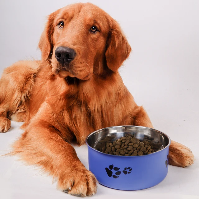 A pet dog bowl in the shape of a cartoon footprint, made of thickened stainless steel, suitable for indoor and outdoor use 4
