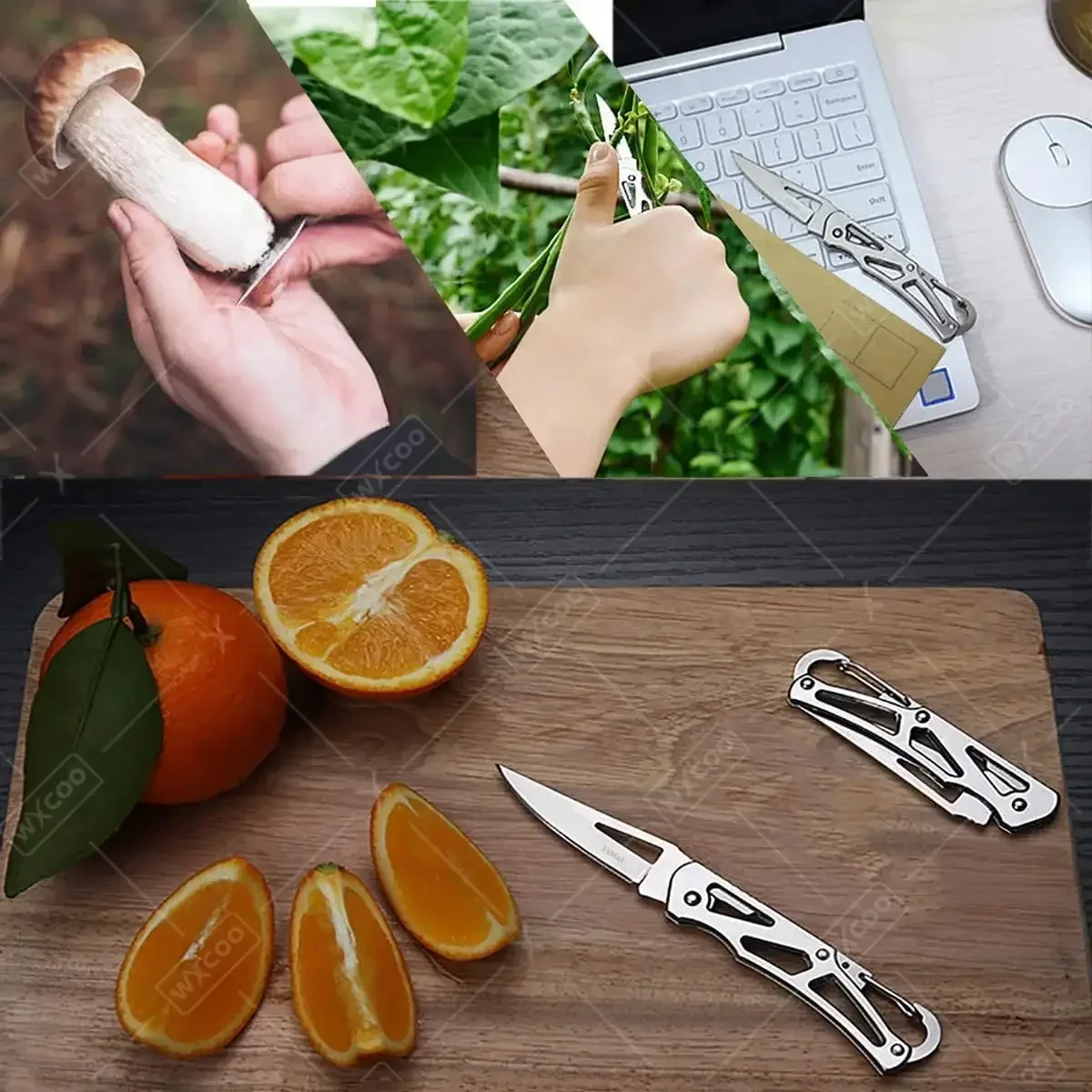 Stainless Steel Folding Pocket Knife Fruit Knife Multifunctional Meat Cutting for Easy Carrying Kitchen Knives Steel Handle