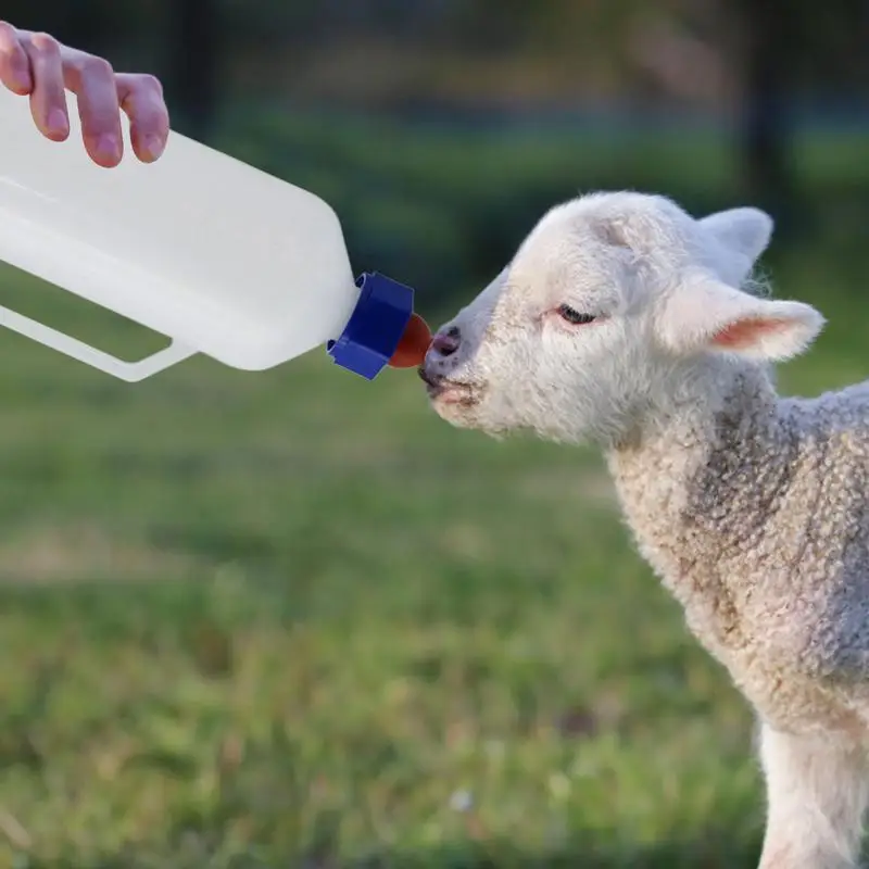1L Goat Feeding Bottle for Baby Goats and Calves