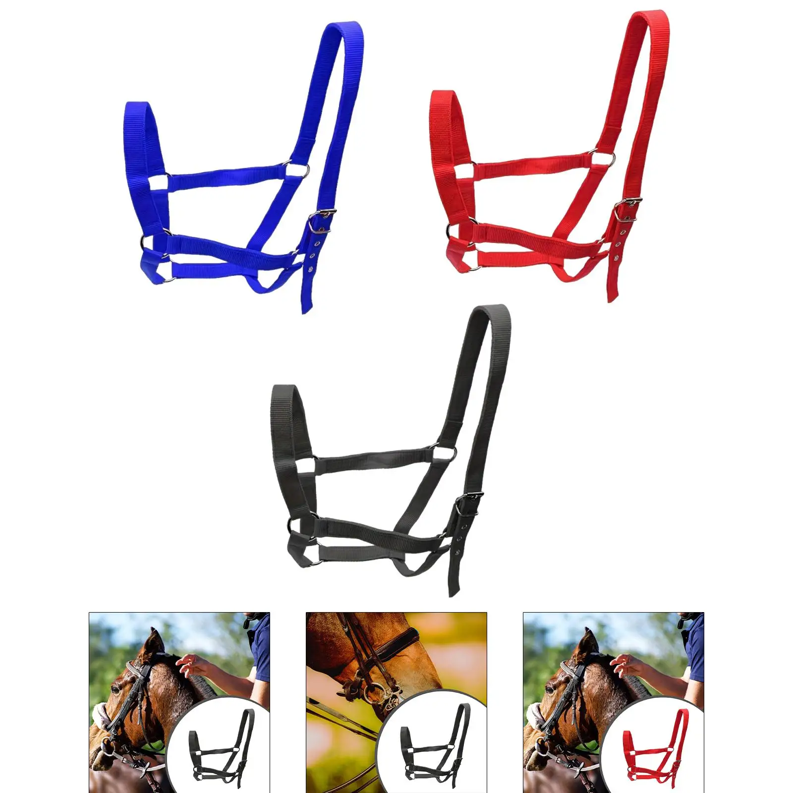 Horse Halter with Padding Durable Rope Training Bridle Adjustable Harness for Farm Grassland and Sports Horse Halter with Padding Durable Rope Training Bridle Adjustable Harness for Farm Grassland and Sports