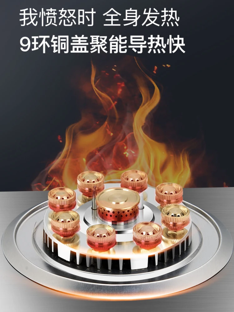 Gas Stove Single Stove Stainless Steel Fierce Fire Gas Stoves Table Kitchen Built-in Kitchens Cookers Home
