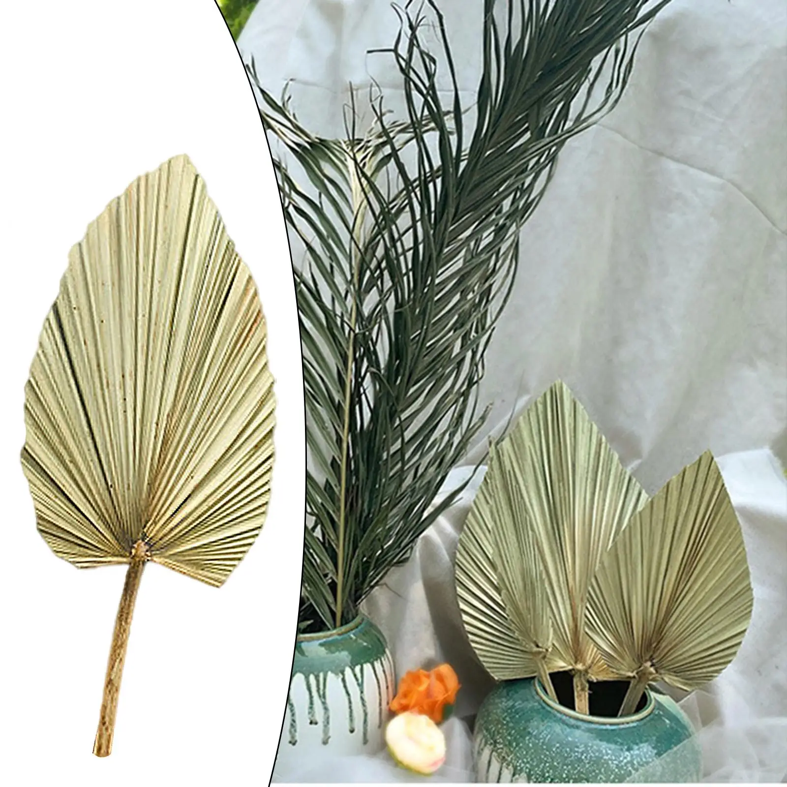 1pc Palm Fan Leaf Dried Flower Palm Leaf Window Reception Party Art Wall Hanging