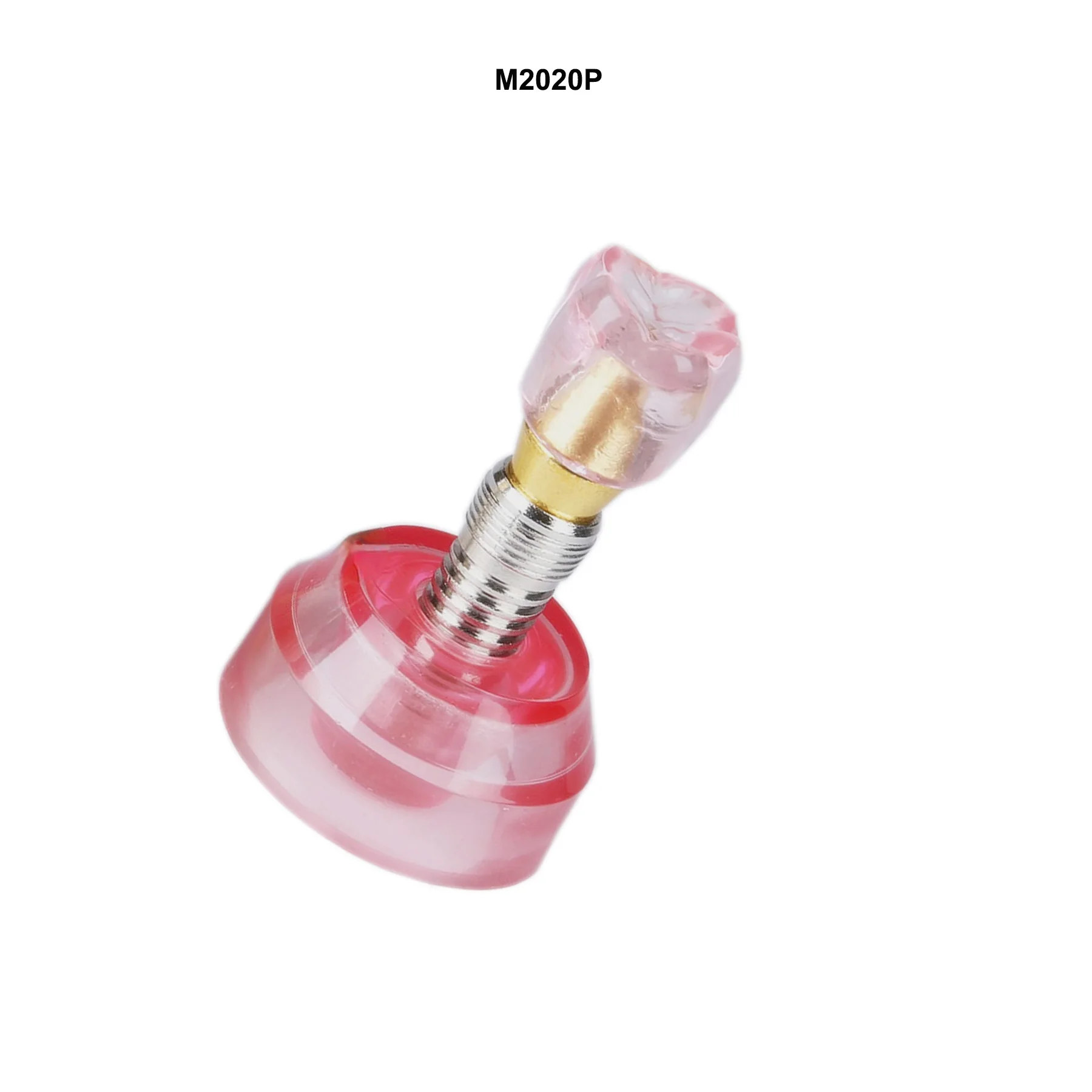 

Dental Typodont Teeth Model Removable Implant Teaching Models For Dentist Implant Treatment Demo Dental Dentistry Resins Model